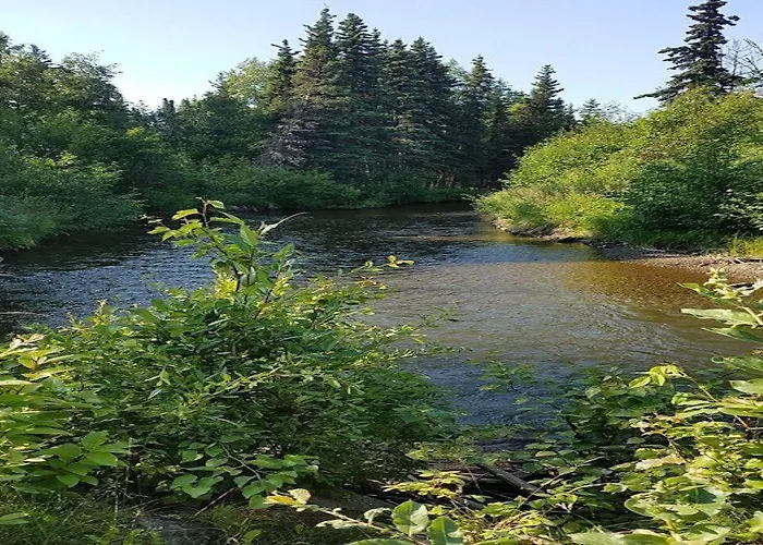 Moose Meadows- Near The Airport, Centrally Located
