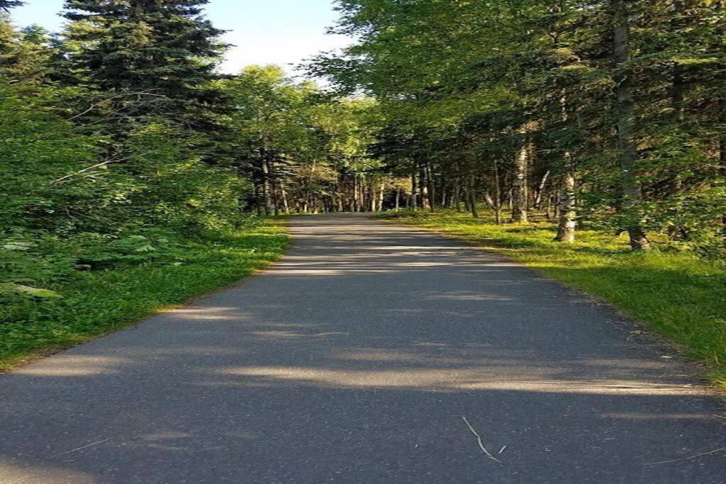 Moose Meadows- Near The Airport, Centrally Located * Anchorage