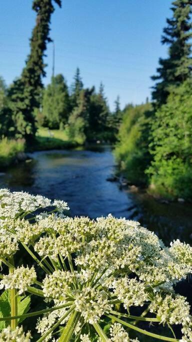 Moose Meadows- Near The Airport, Centrally Located Apartment Anchorage