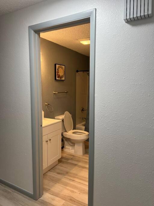 Beautiful Downtown 2 Apartment
