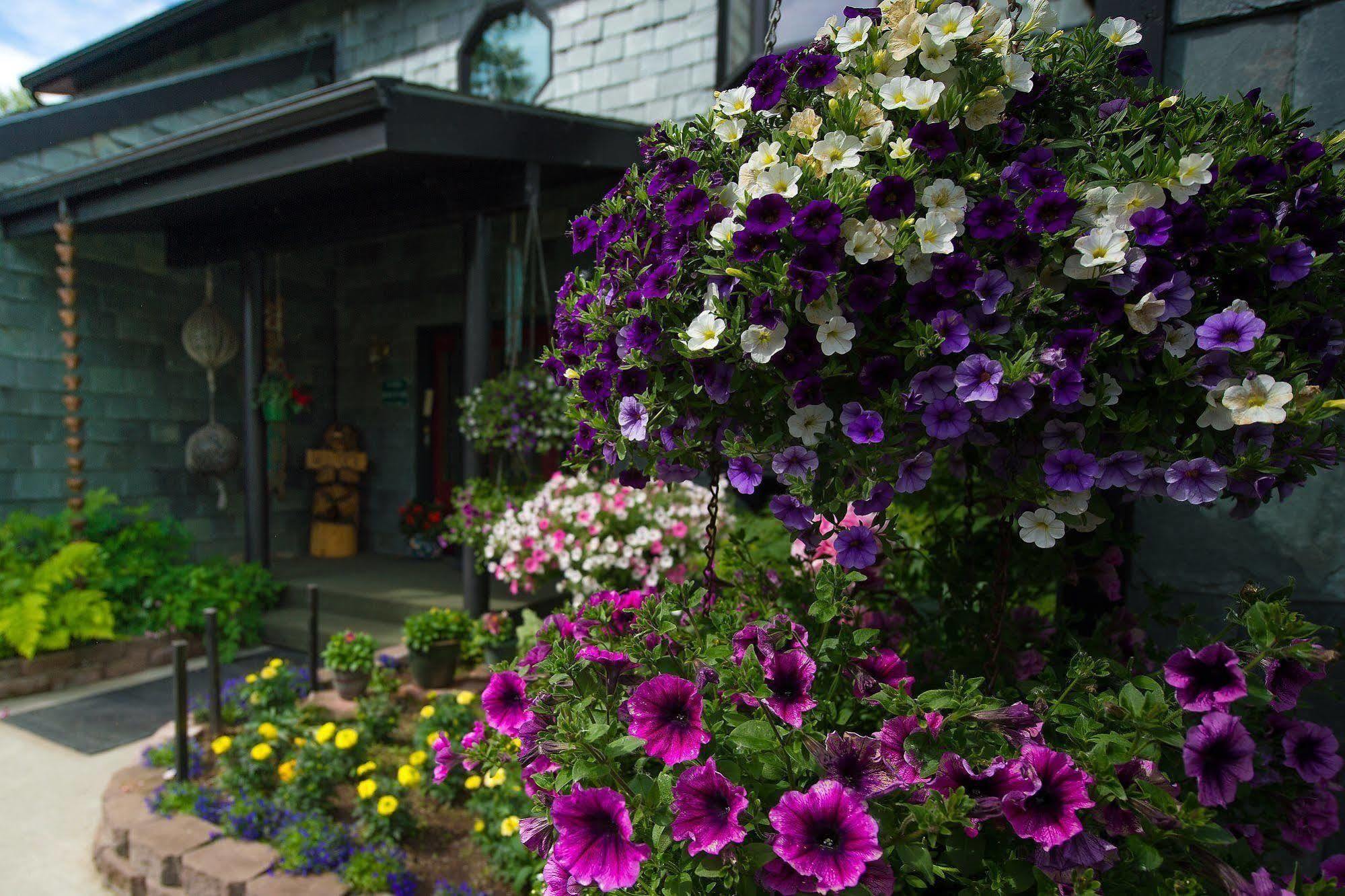 Bed & Breakfast Alaska House Of Jade 3*