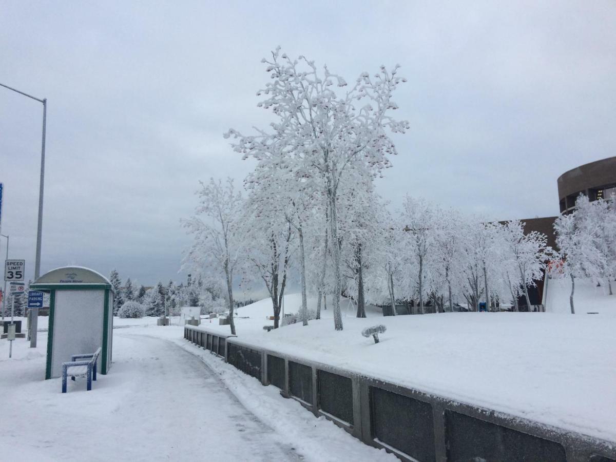 Hostel Arctic Adventure