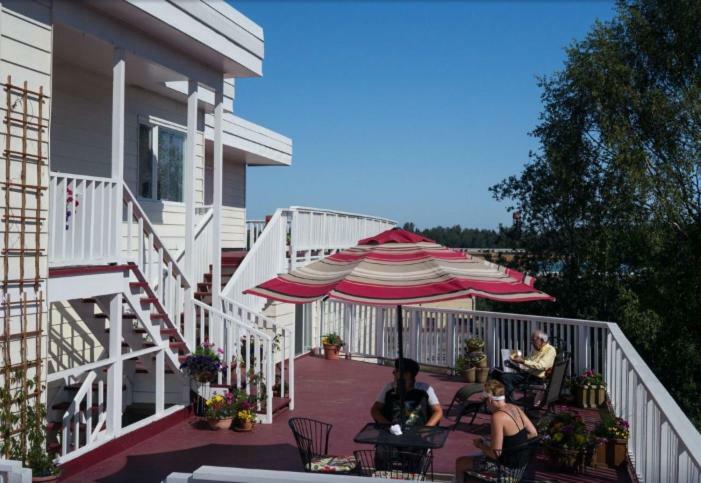 Inn Arctic Fox